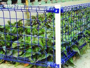 金屬絲網(wǎng)熱賣促銷 探索zt-03型號(hào)的價(jià)格、廠家與供應(yīng)商